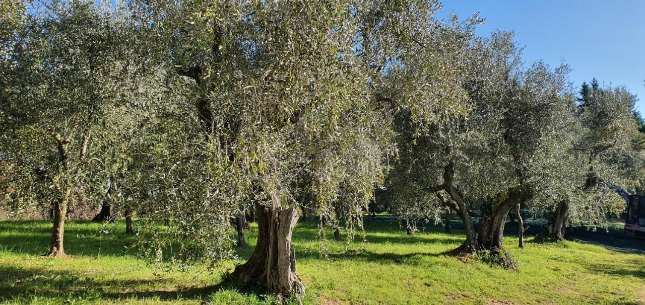 Hotel Commuoversi Ssa - Azienda Agricola Usigliano Exteriér fotografie