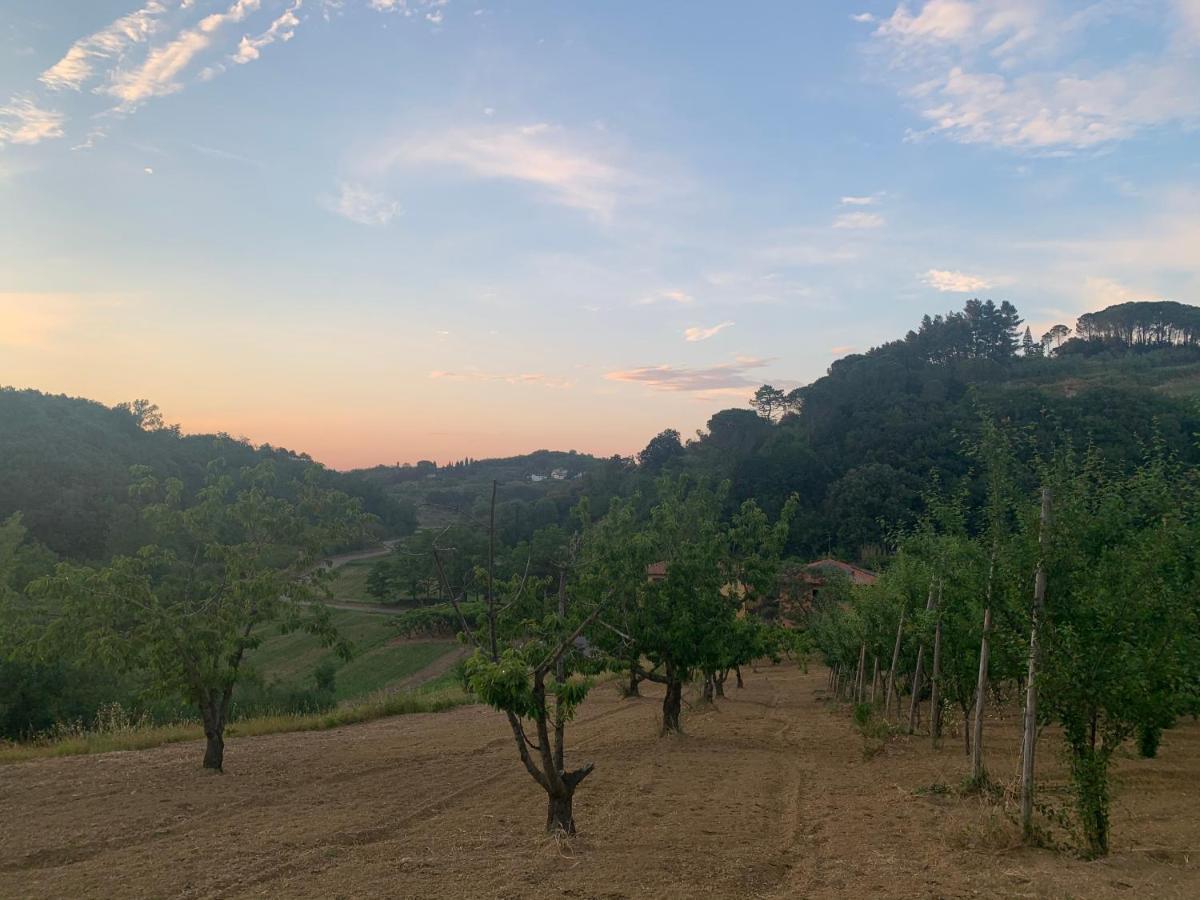 Hotel Commuoversi Ssa - Azienda Agricola Usigliano Exteriér fotografie